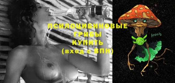 марки nbome Белокуриха