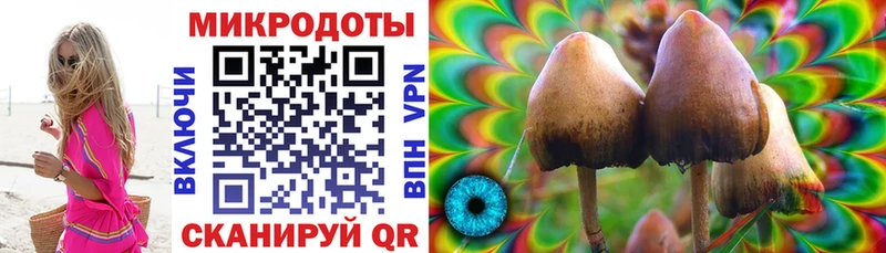 darknet официальный сайт  наркотики  Бородино  Псилоцибиновые грибы Magic Shrooms 